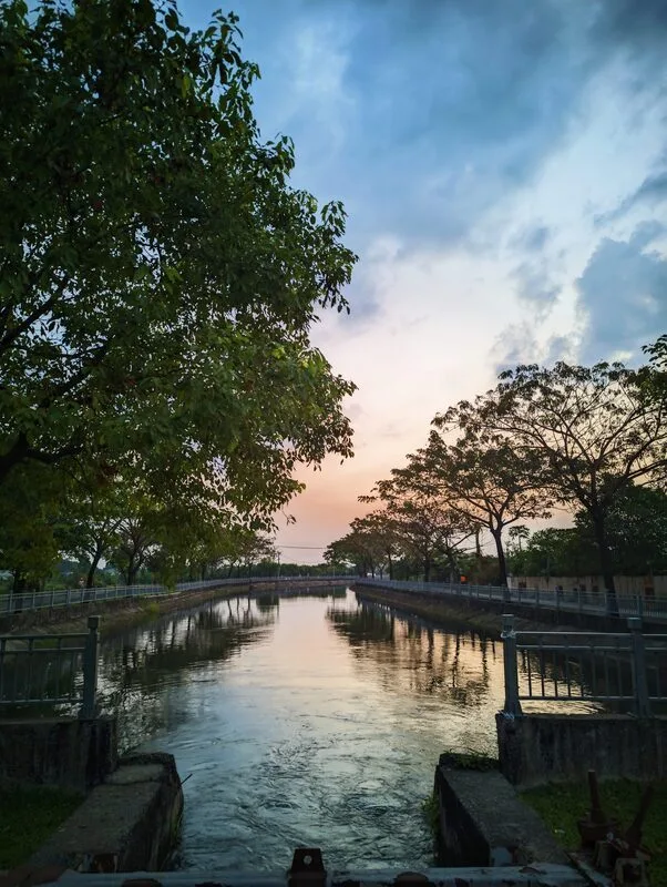 Cây cầu ở cuối con kênh